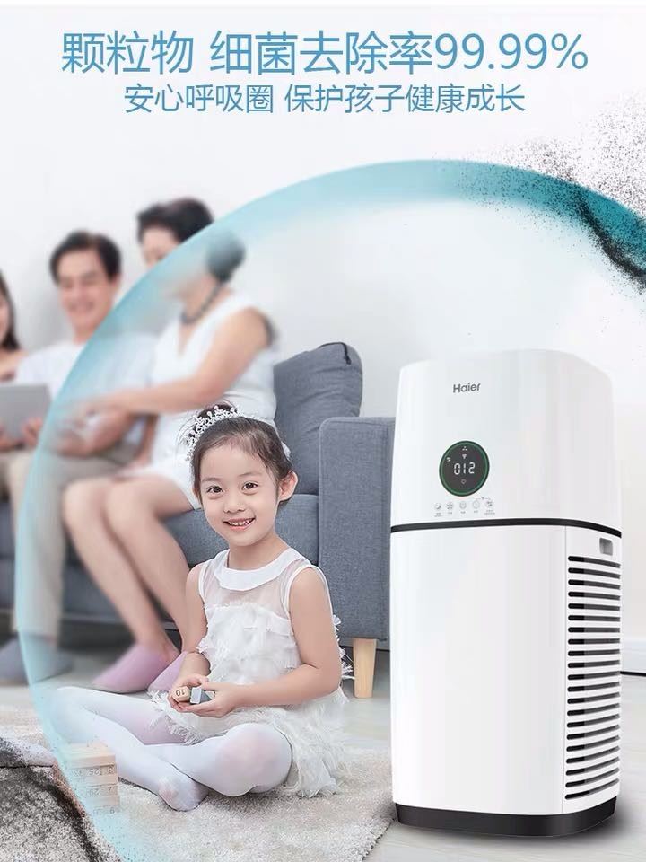 Home Air Purifier With European Certificate