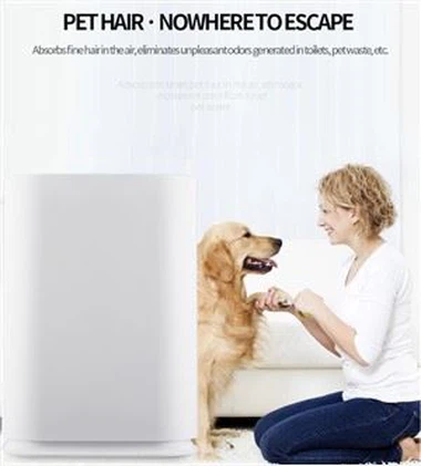 BKJ-300H Ordour Por eltávolítja az egészséges ápolású légtisztítót