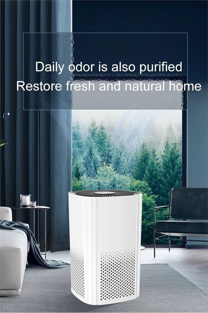 BKJ-22D Touch Panel High Quality HEPA Air Purifier